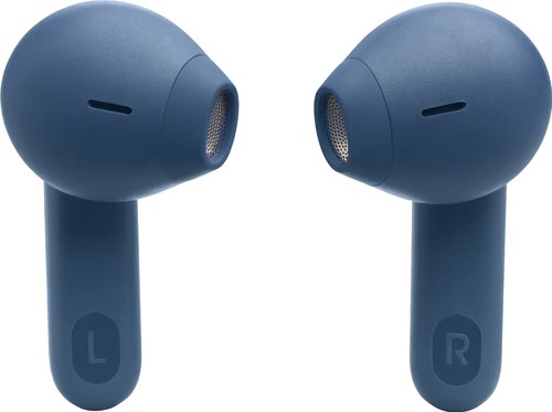 Headphones JBL Tune Flex — 24