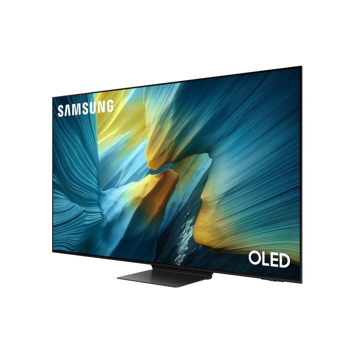 TV QE65S95FAUXRU — 3