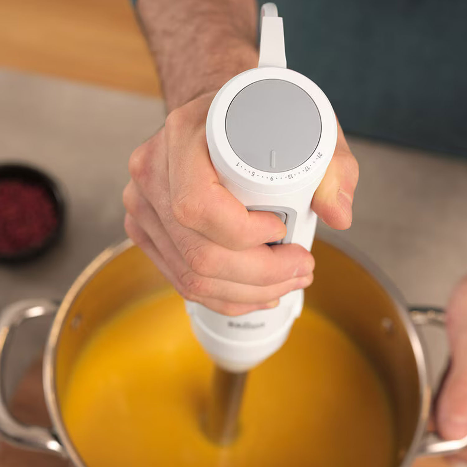 Hand blender WH MQ50236M — 5