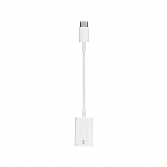 USB-C to USB-A Adapter — 3