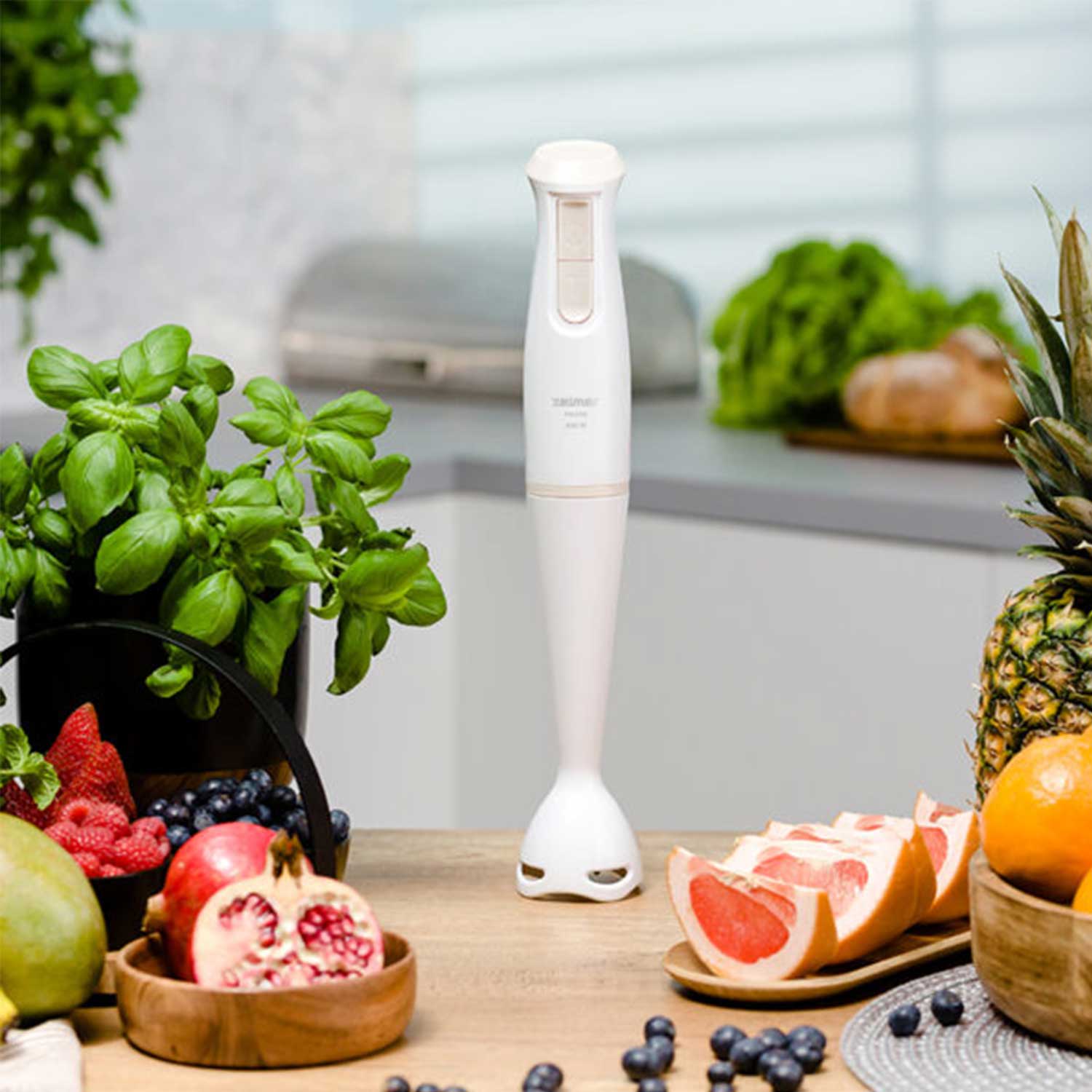 Hand blender ZHB4560I — 2