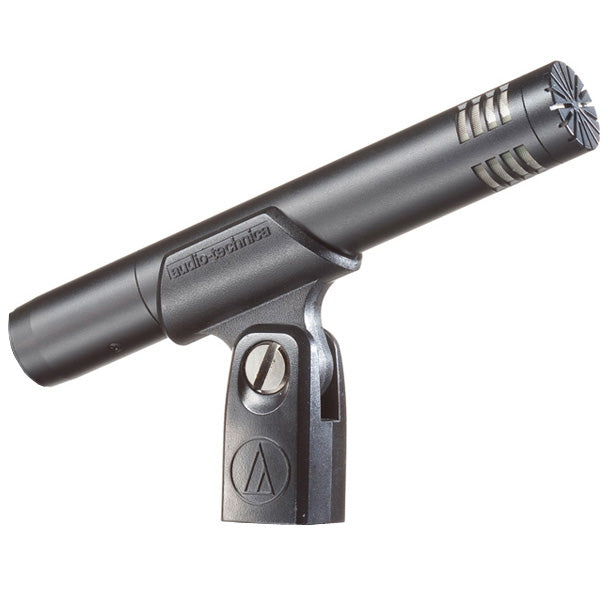 Audio-Technica AT2031 Condenser Microphone