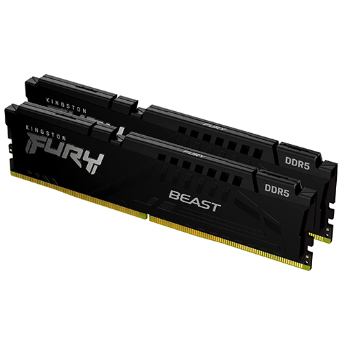 5600MT s DDR5 Kit of 2 FURY Beast EXPO KF556C36BBEK2-32 — 2