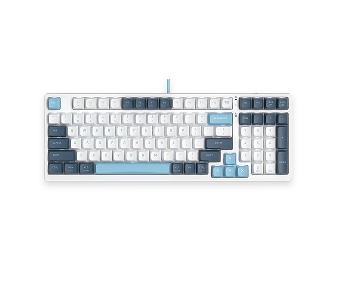 Mouse Fstyler A4Tech Fstyler FS300 Panda Snowboarding — 3
