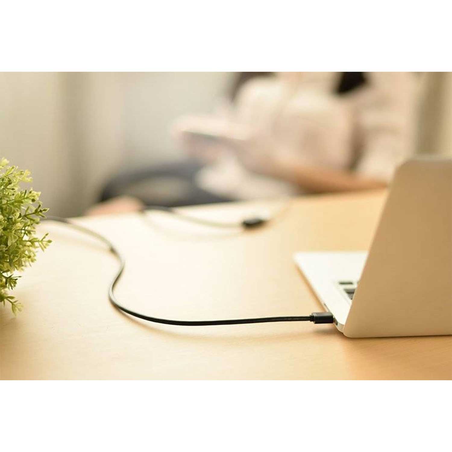 Extension cable UGREEN US103 USB-A Extension BK 10314 — 2