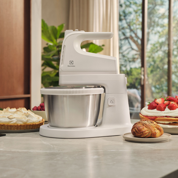 Миксер Electrolux ESM4W — 4