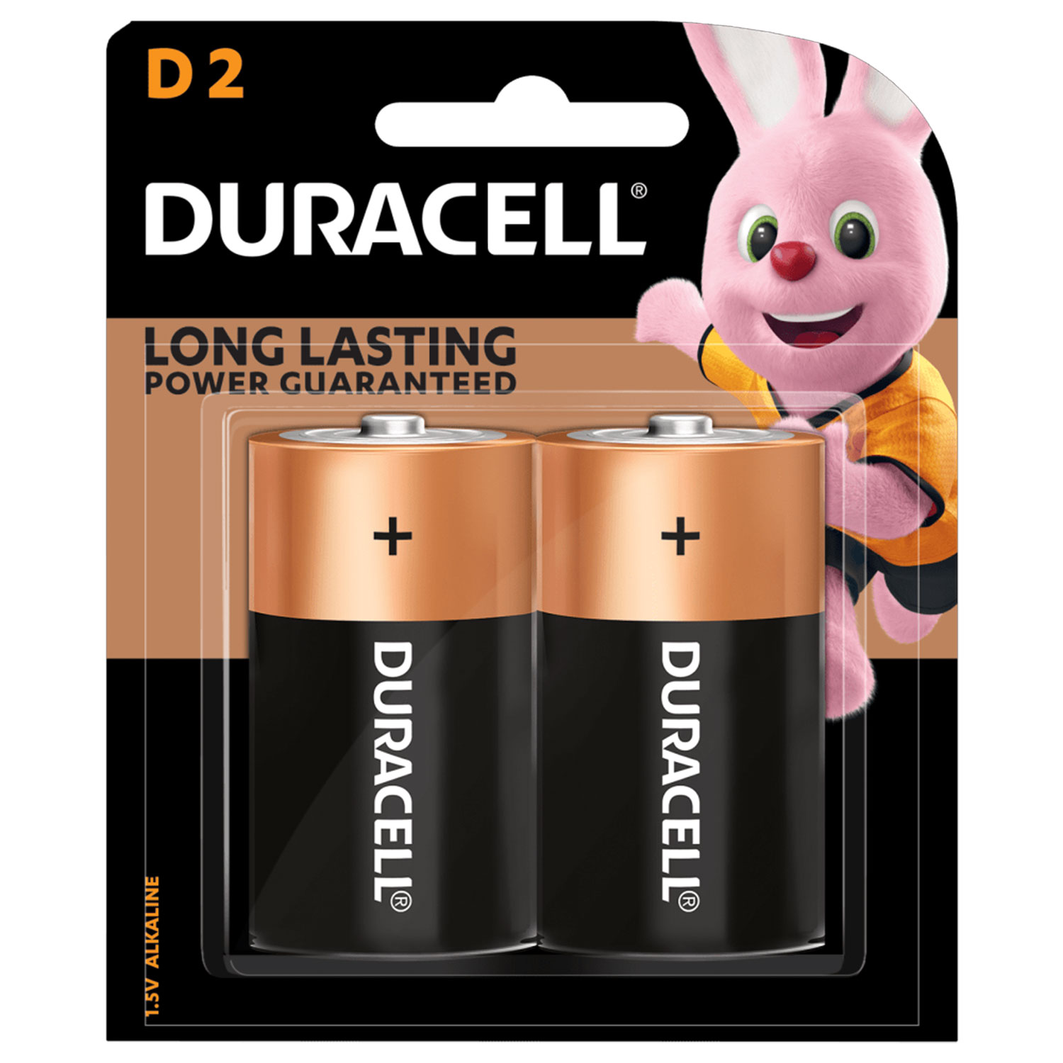 Battery DURACELL D SIZE K2X10 — 2