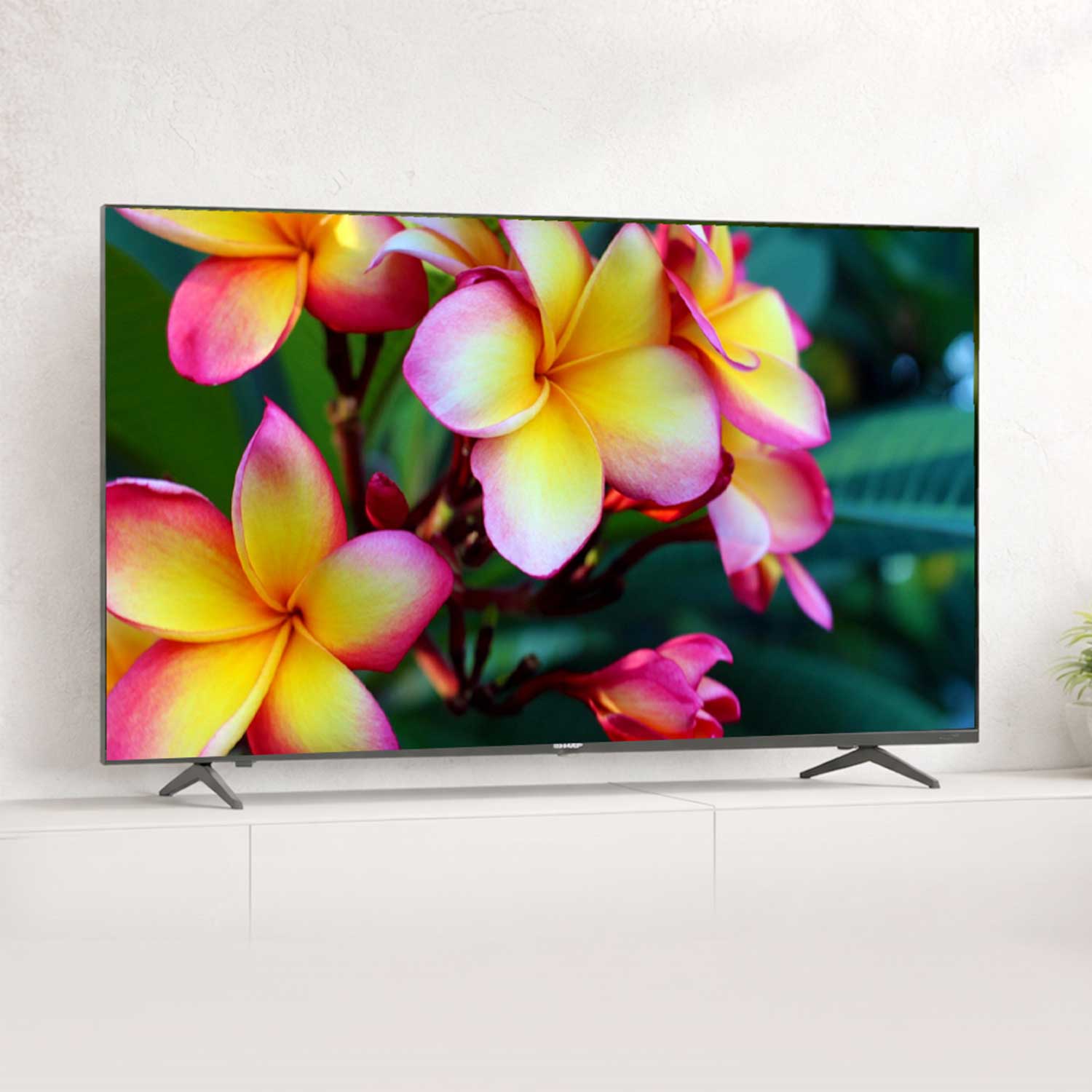 TV Sharp 4T-C86FN6MX — 3