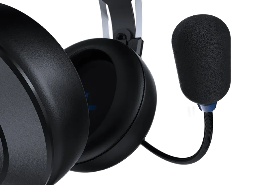 VM410 PS — 4