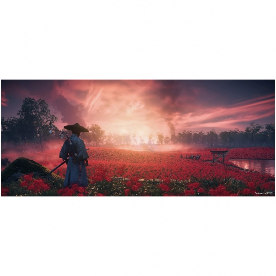 playstation 5 Ghost of Tsushima Game — 2