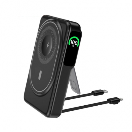 Lion Mag-Vision 10000mAh Power Bank — 2