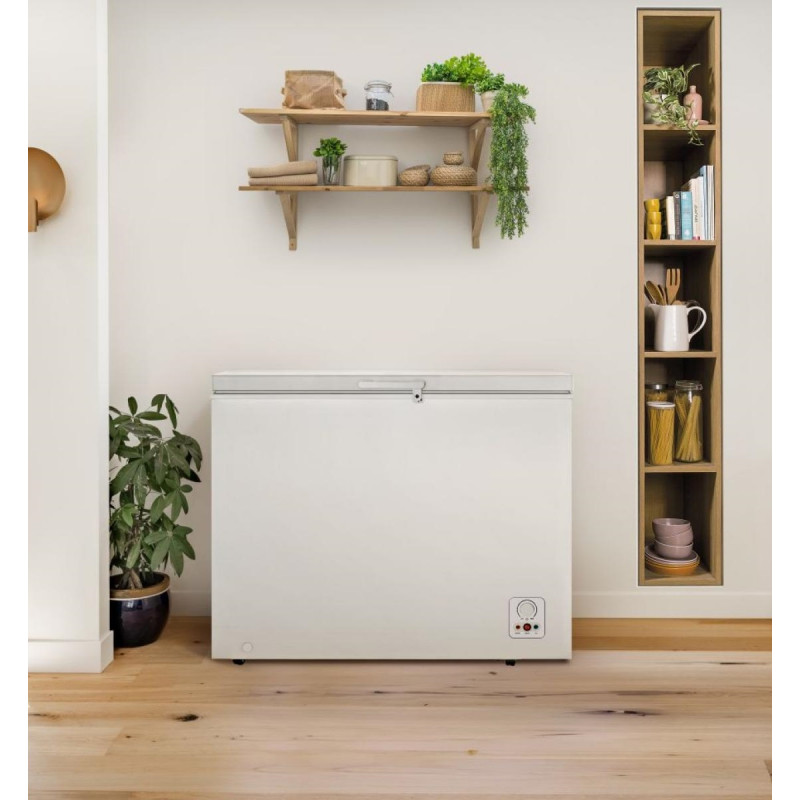 Freezer GORENJE FH251AW — 5