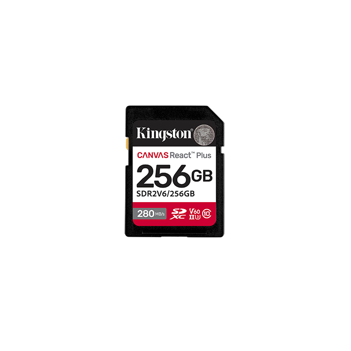 Memory card Canvas React Plus V60 SD SDR2V6 512