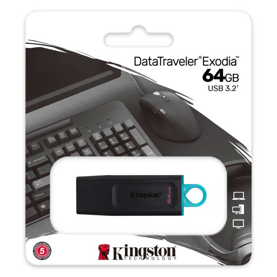 Flash drive Kingston DTX — 3