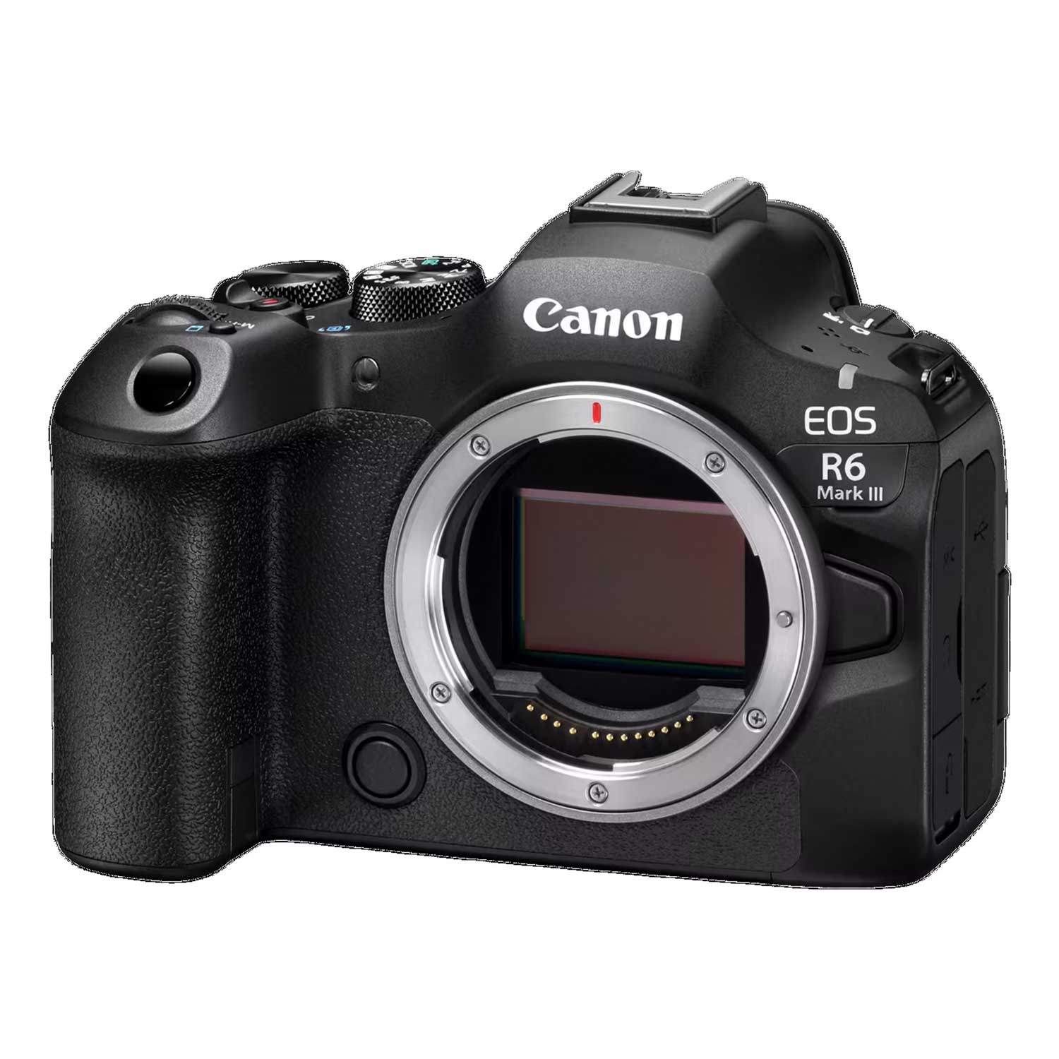 Digital photo camera EOS R6 Mark III V5 RF 24105 STM SEE
