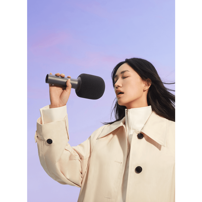 Karaoke Microphone BHR6752GL — 3