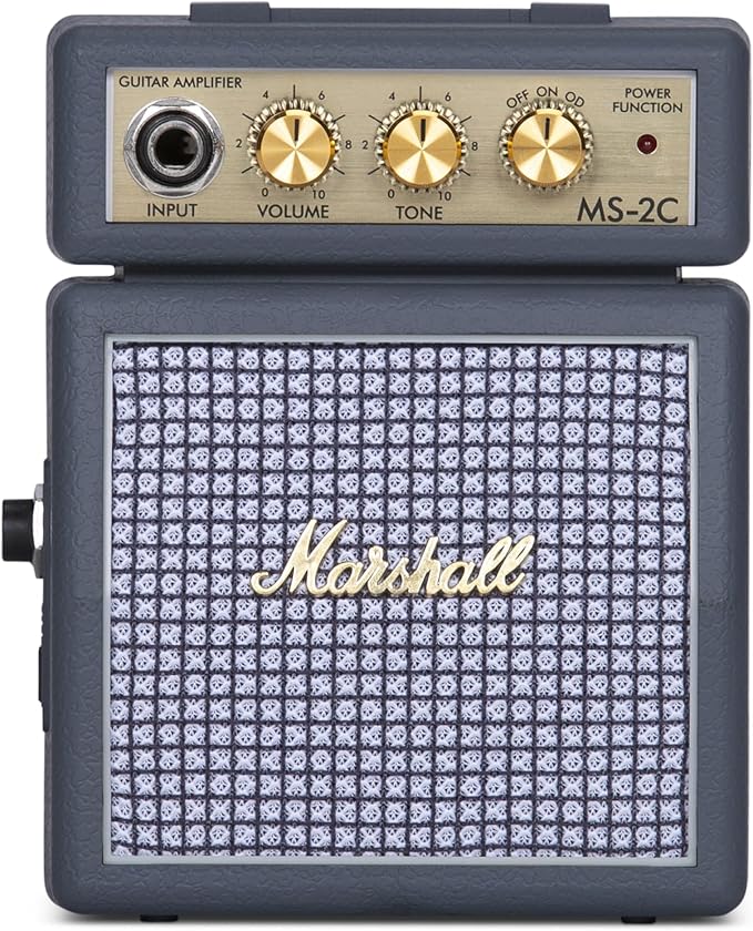 MS-2C Micro Amp Classic — 2