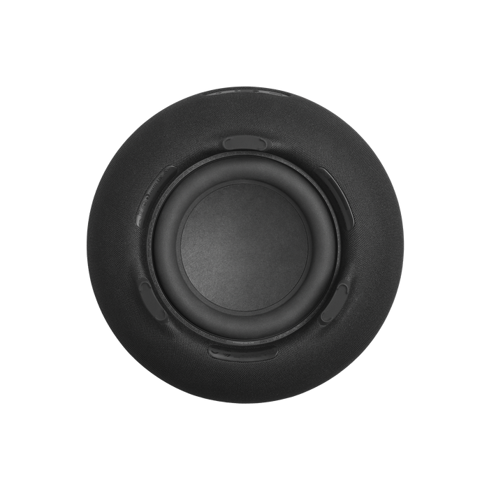 Harman Kardon HKAURAS5BLKEP T — 4