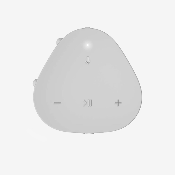 Roam SL — 4