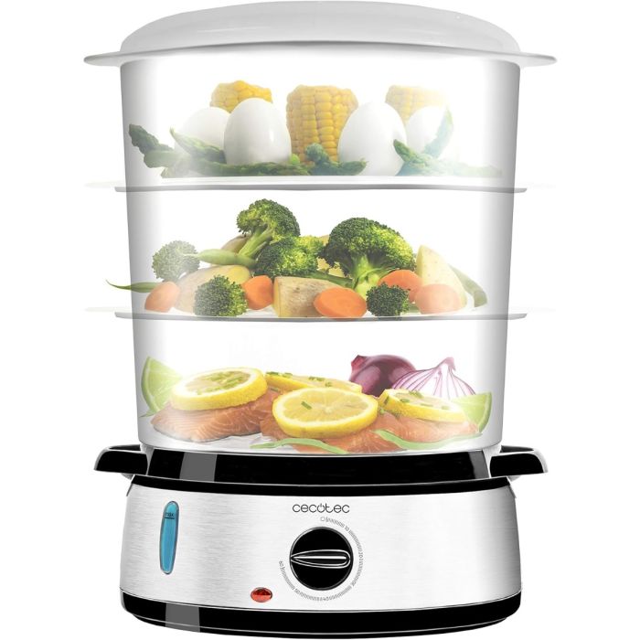 Cecotec 04109 Vapovita 3000 Inox Steamer