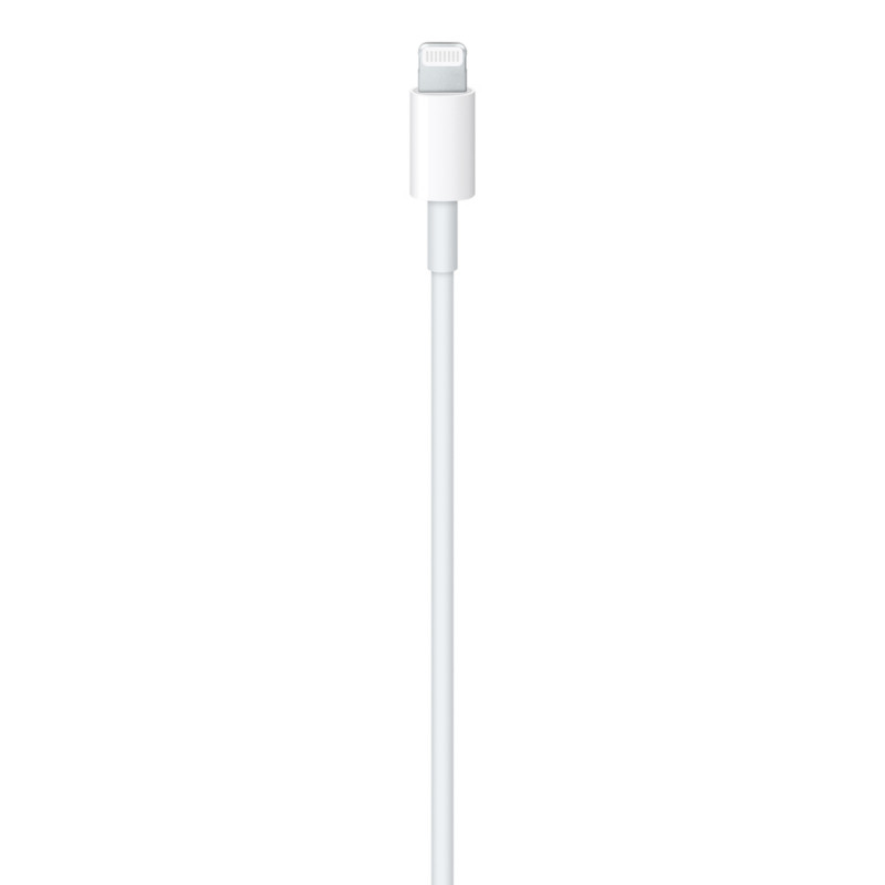 TYPE C LIGHTNING 1M — 3