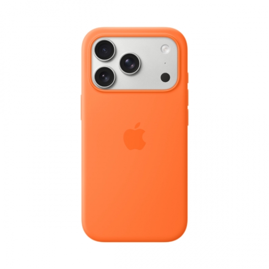Case Apple iPhone Pro Silicone MagSafe — 12