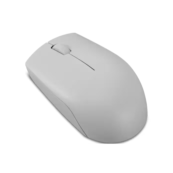 300 Wireless Compact Mouse with battery GY51L15678 — 2