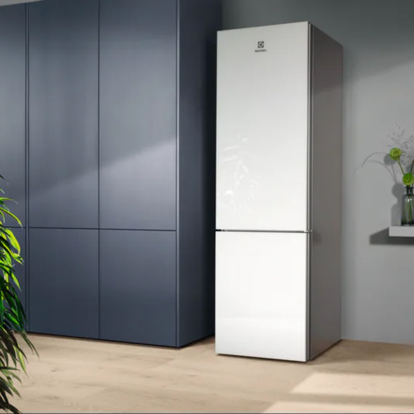 Refrigerator ELECTROLUX RNT7ME34G1 — 4