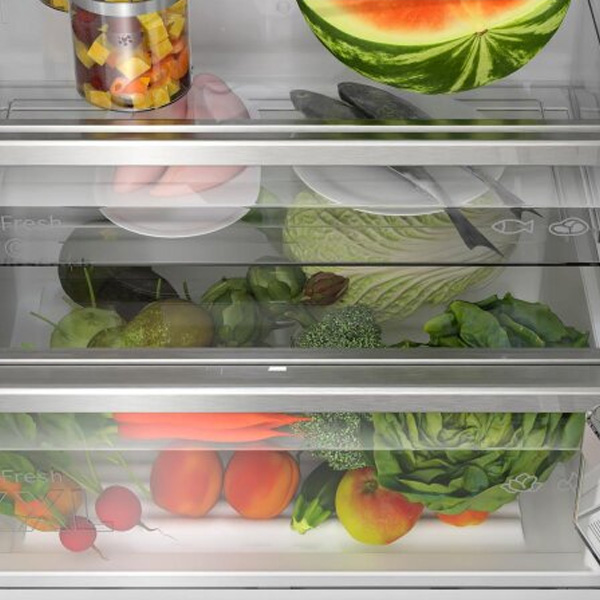 Refrigerator KGN49AIBT — 4