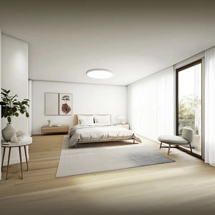 Mi Smart Ceiling Light D40 BHR9933GL — 2