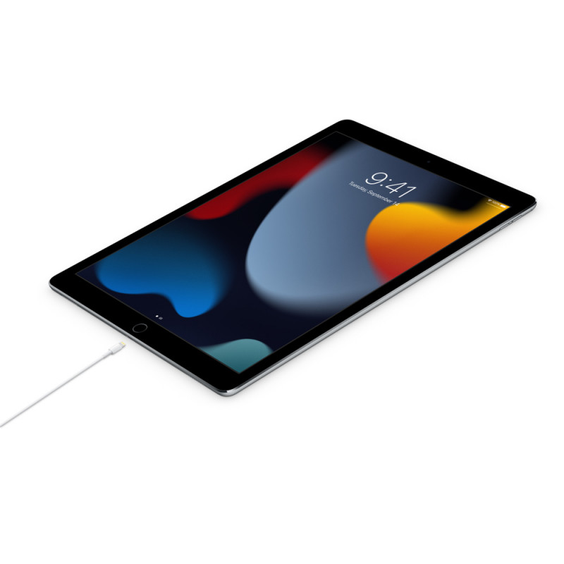 TYPE C LIGHTNING 1M — 2