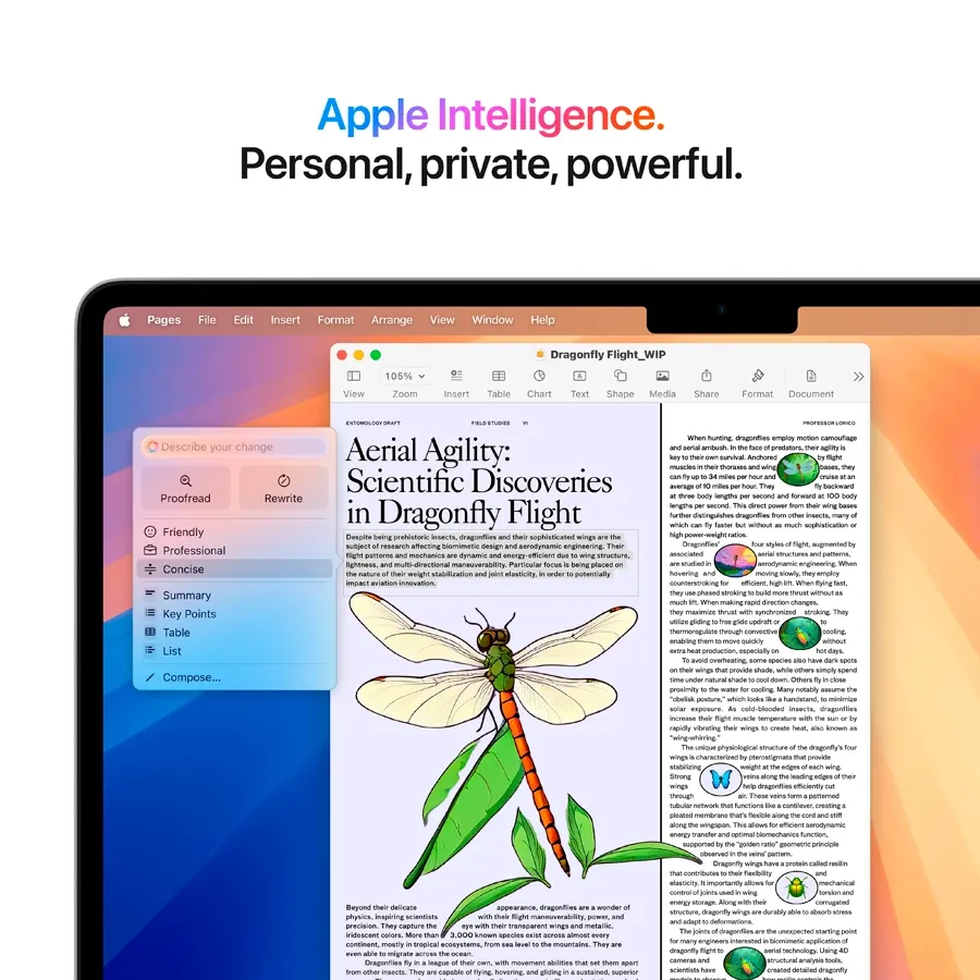MacBook Air 15-inch (M4, 2025) — 17