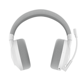 Legion H600 GXD1C98345 Stingray