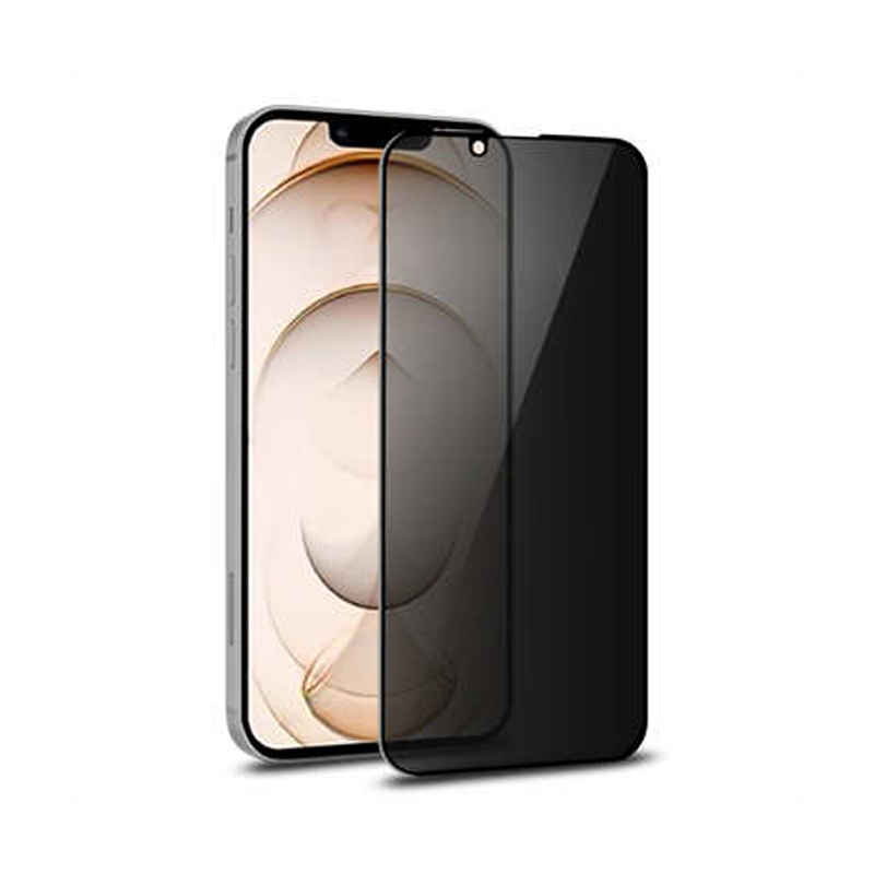 Protective glass iPhone 13 pro 10 D privacy — 3
