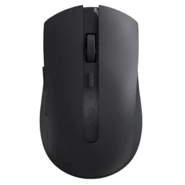 Mouse Rapoo 0107T-01 — 2
