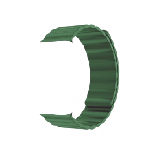 Lion Silicone Magnetic Watch Band 45MM — 5