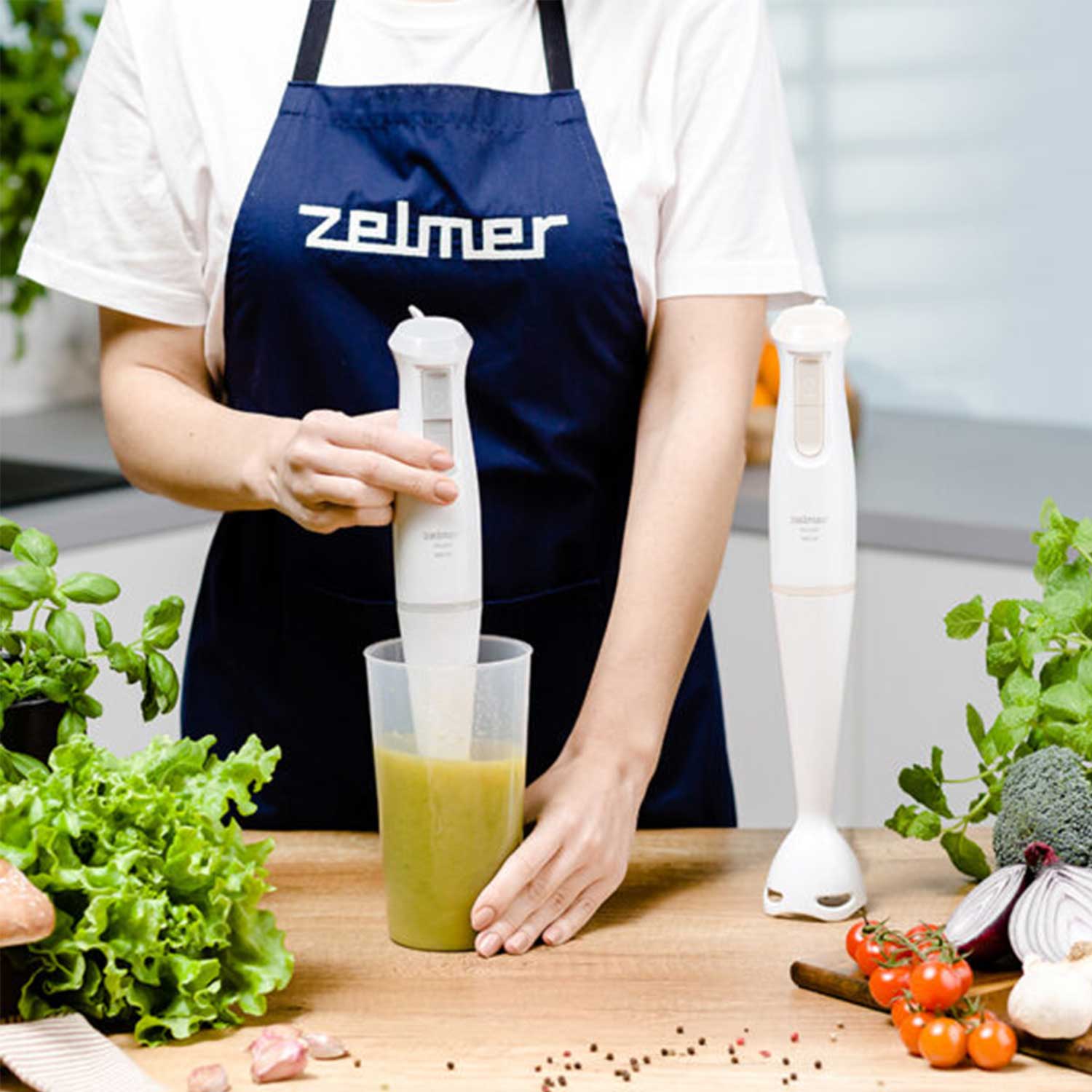 Hand blender ZHB4560I — 3