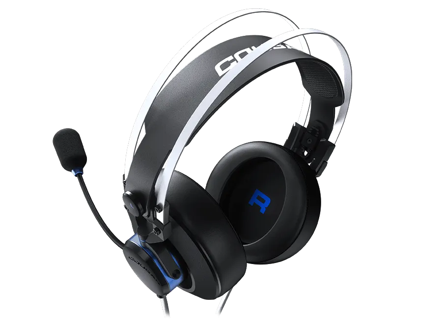 VM410 PS — 2