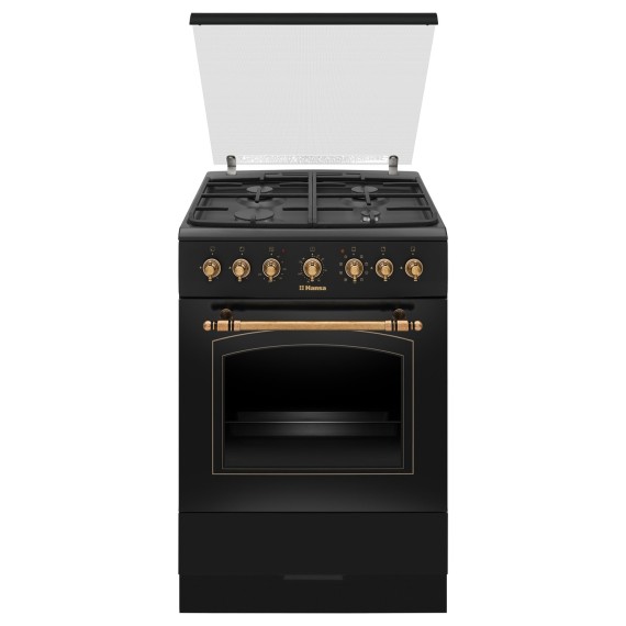 Cooker HANSA FCMA68109 — 2