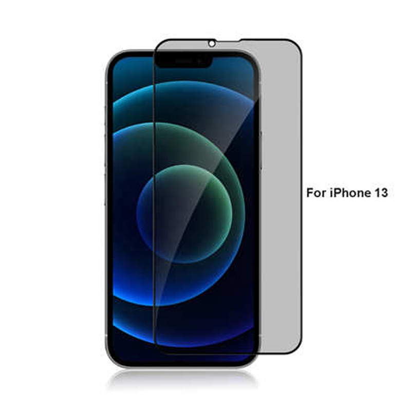 Protective glass iPhone 13 pro 10 D privacy — 2