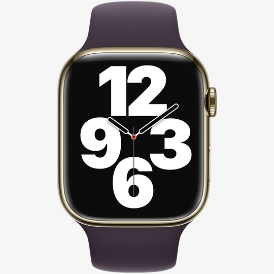 Band 45mm Sport Band Elderberry — 3