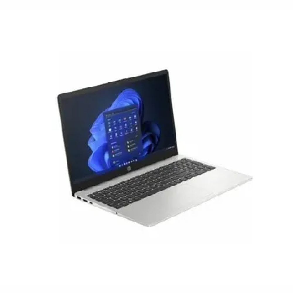 Նոթբուք HP 250 G10 — 13