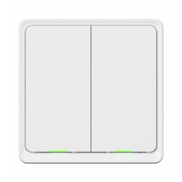 Tesla Smart Switch Dual