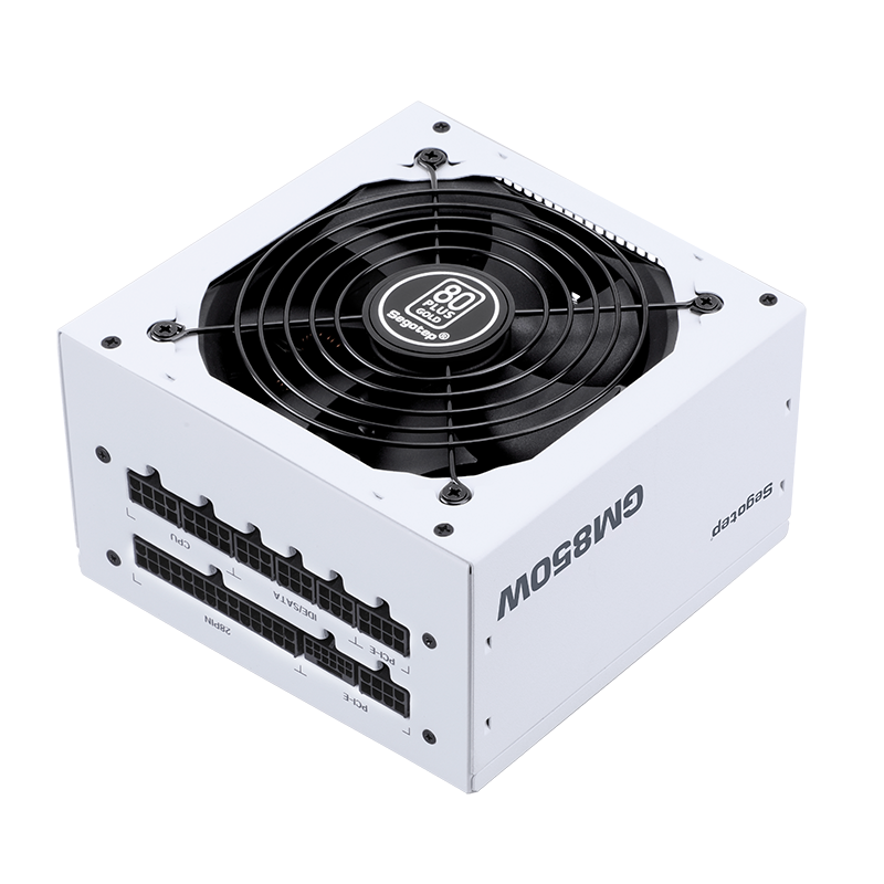 Segotep GM850W ATX3.1 PCIe 5.1 Full Modular 80+ Active PFC