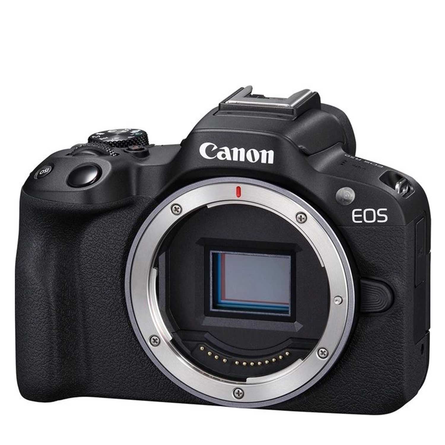 Digital photo camera EOS R50 RF-S 18-45 S Creator SEE — 4