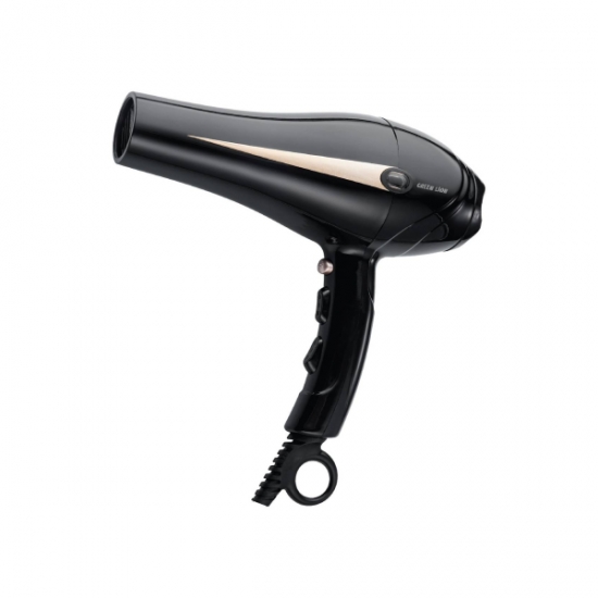 Professional Hair Dryer 2000W