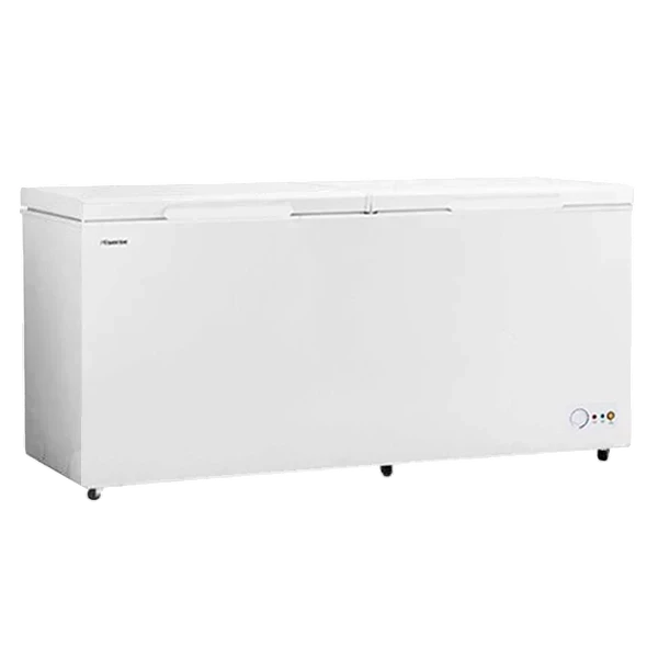 Սառցարան Hisense FC66DD FC66DD-WHITE — 2