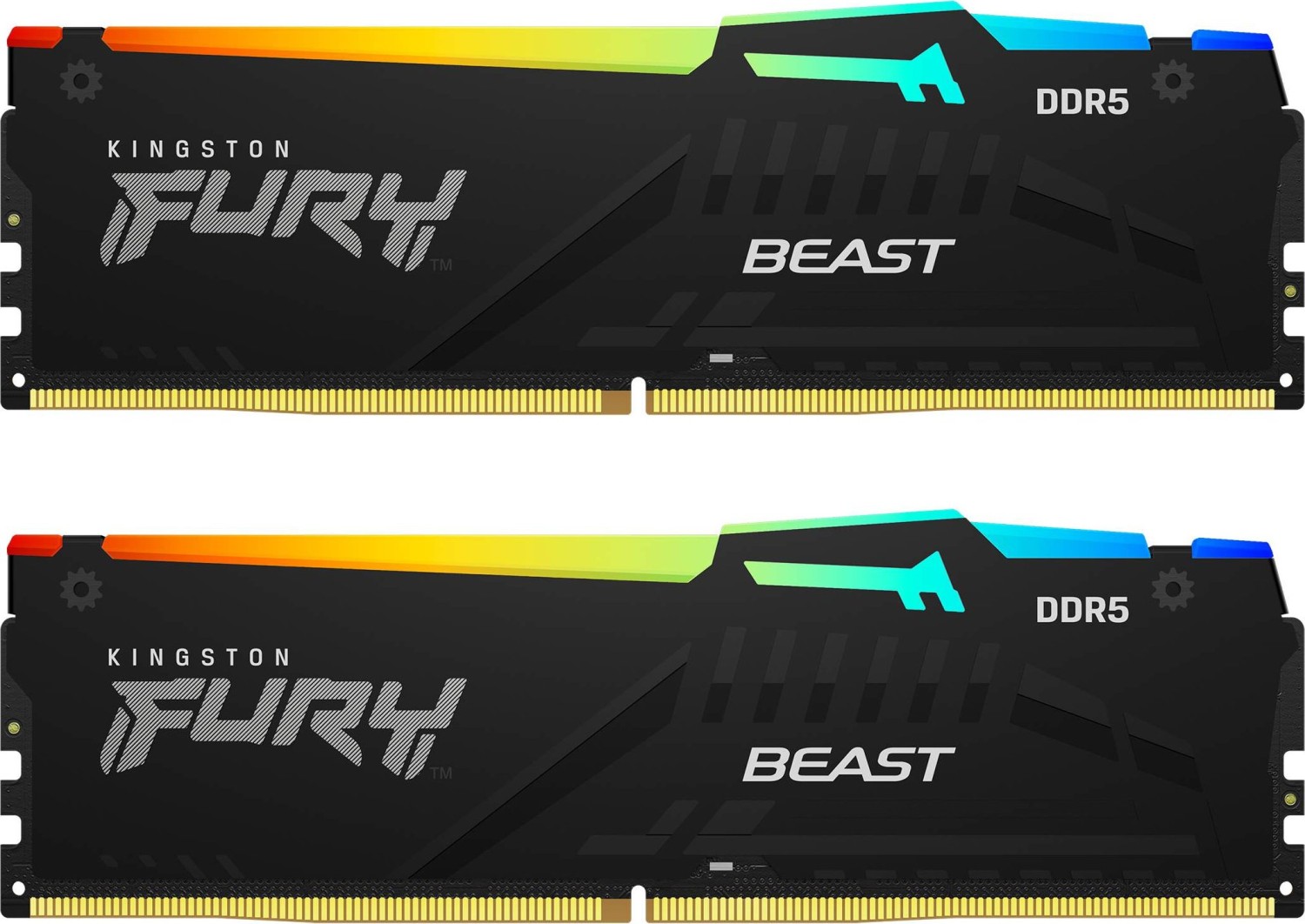 FURY Beast KIT KF556C36BBEAK2-64 DDR5 2x 5600 MT s — 2