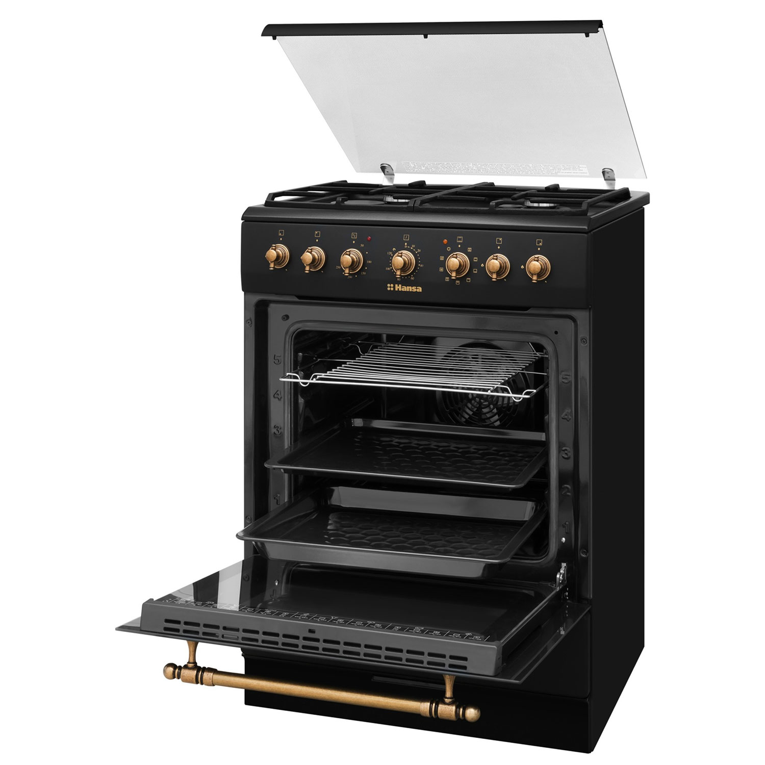 Cooker HANSA FCMA68109 — 5