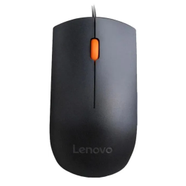 Mouse 300 USB Mouse GX30M39704